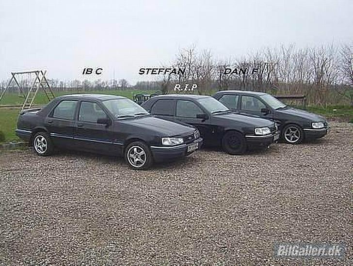 Ford sierra (død) billede 15