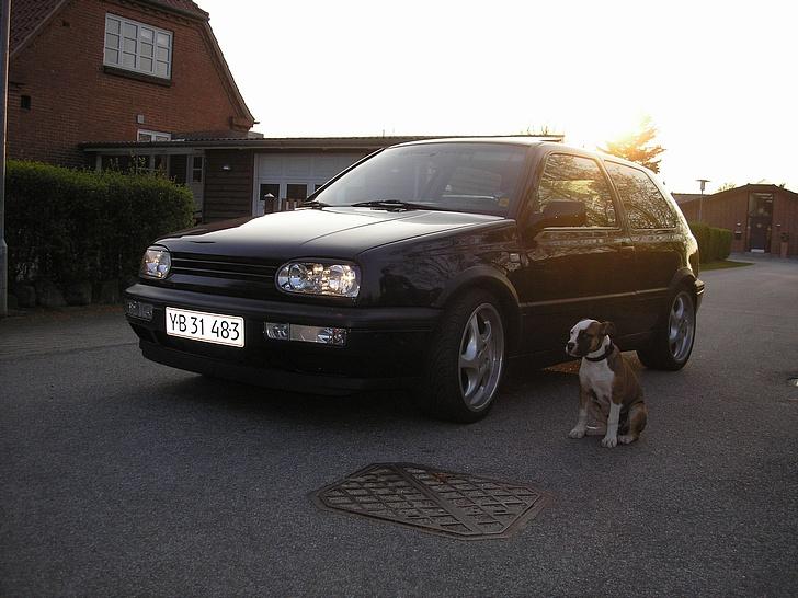 VW golf III billede 8