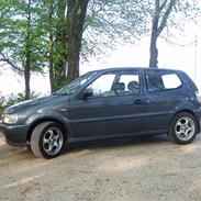 VW Polo 6N