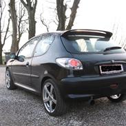 Peugeot 206 Smadret