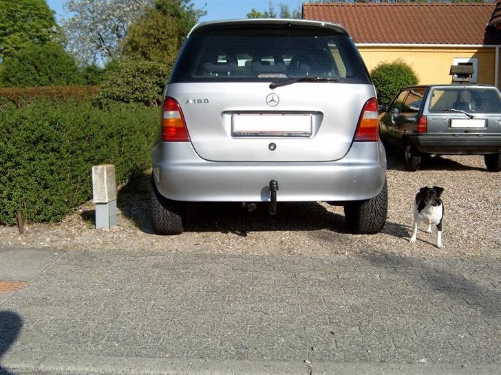 Mercedes Benz A160  1999  * SOLGT * - Her er så VAGTHUNDEN som passer på den lille mercer... c",) billede 11