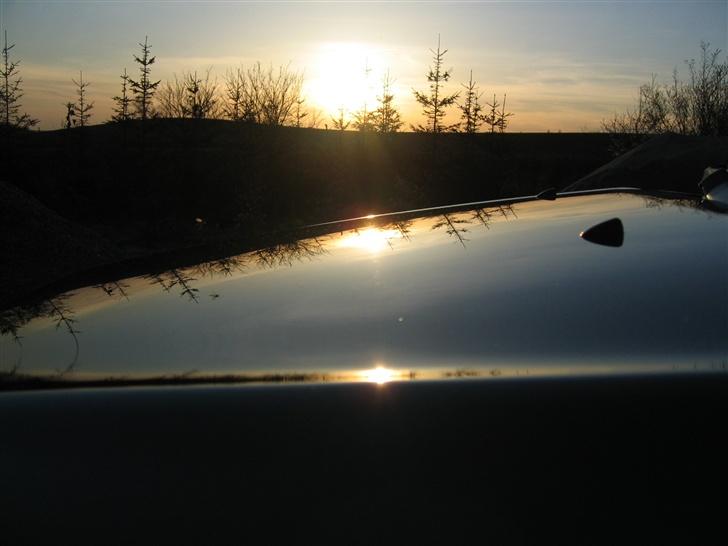 Toyota Avensis 2.0 Sol (solgt) - et stk nypoleret motorhjelm  billede 6