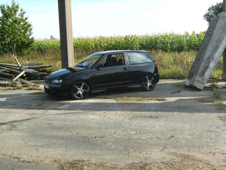Seat Ibiza Cupra (SOLGT) billede 1