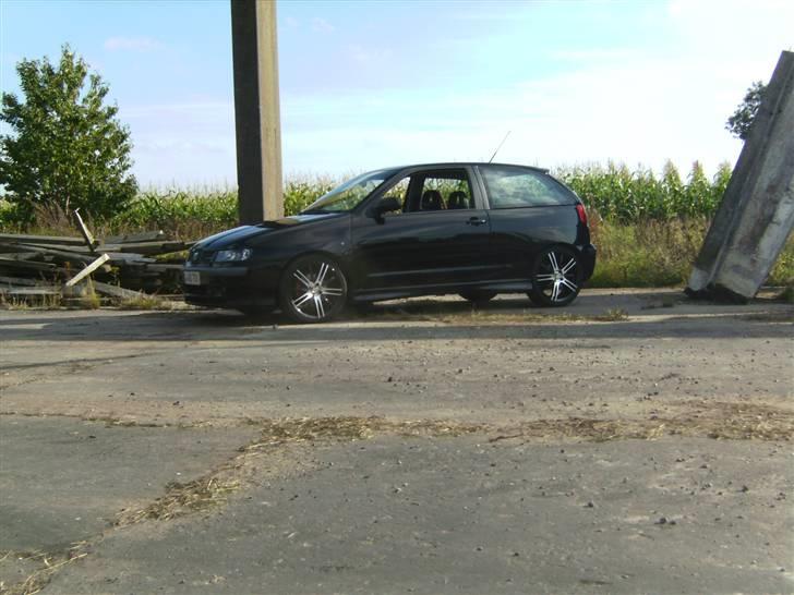 Seat Ibiza Cupra (SOLGT) billede 2