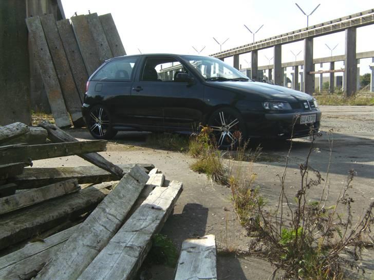 Seat Ibiza Cupra (SOLGT) billede 6