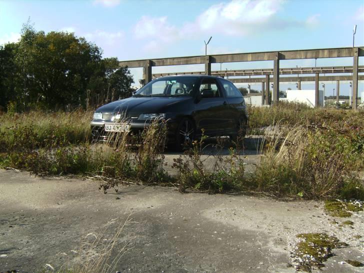 Seat Ibiza Cupra (SOLGT) billede 10