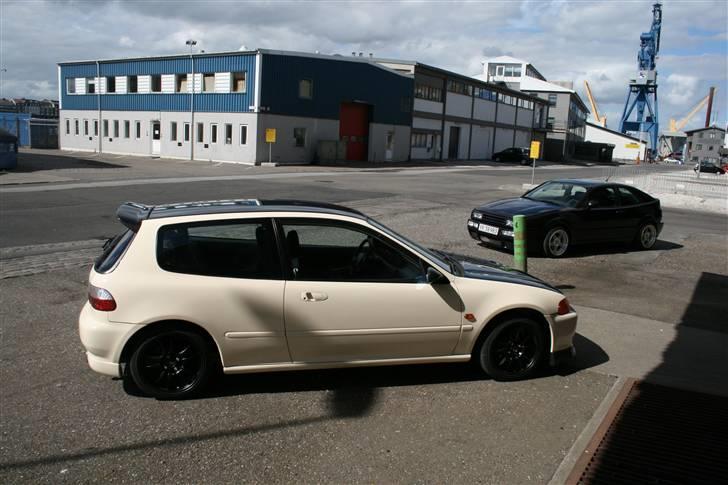 Honda Civic - ægget -  billede 18