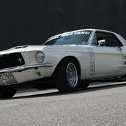 Ford Mustang "Rebel Mustang"