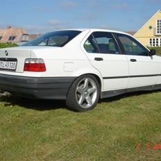BMW E36 316i SOLGT