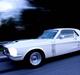 Ford Mustang "Rebel Mustang"