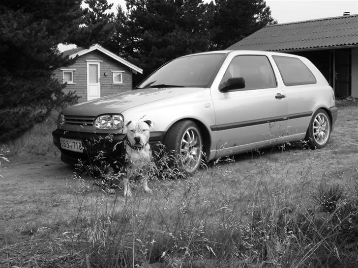 VW Golf IV *SOLGT* - Min gamle bil billede 11