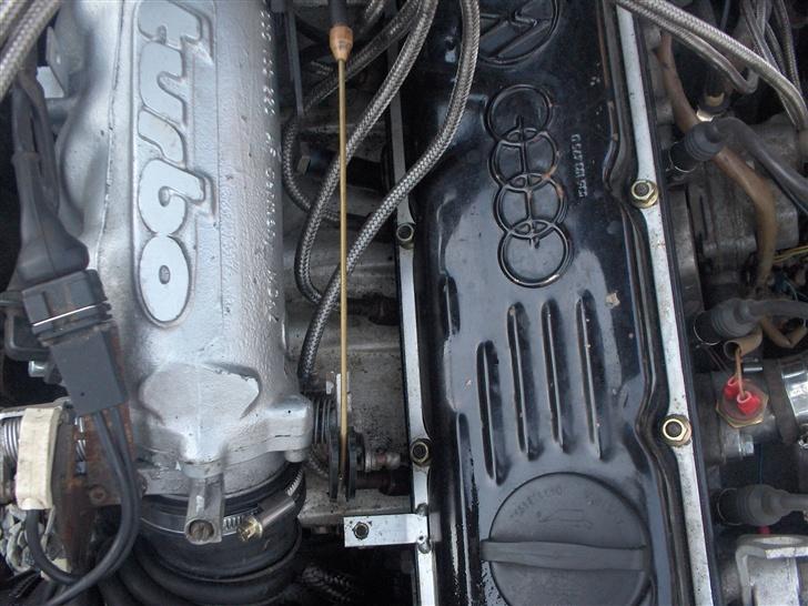 Audi Coupe GT- SOLGT billede 12