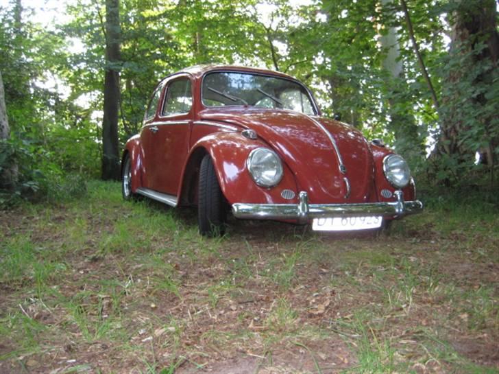 VW Bobbel  SOLGT billede 15