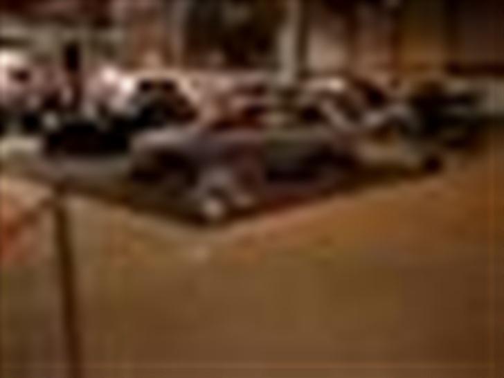 VW ACC-Grey Hound)solgt billede 2