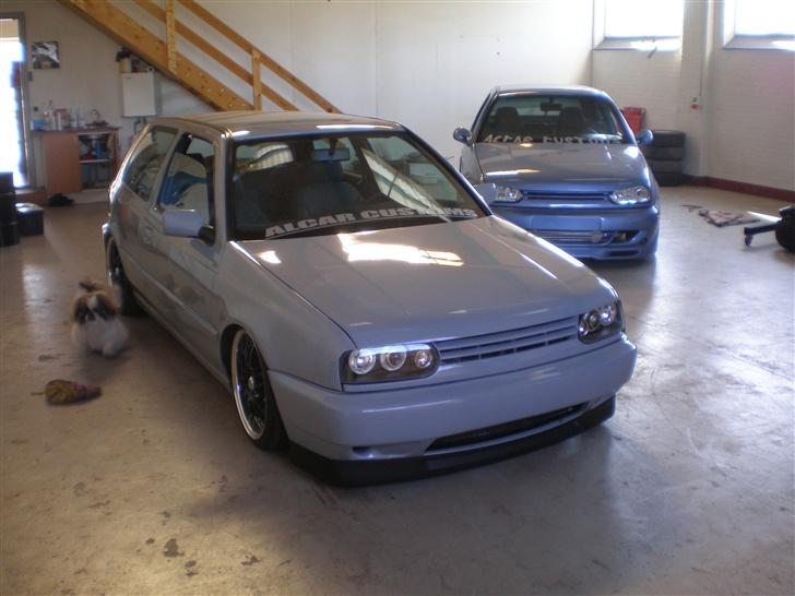 VW ACC-Grey Hound)solgt billede 8