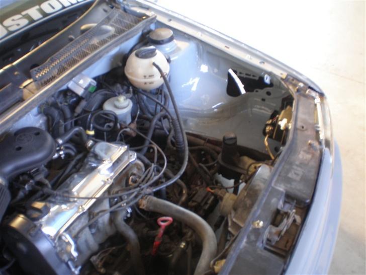 VW ACC-Grey Hound)solgt billede 13