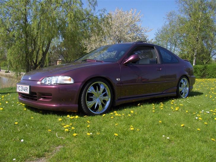 Honda Civic coupe (RIP) billede 18