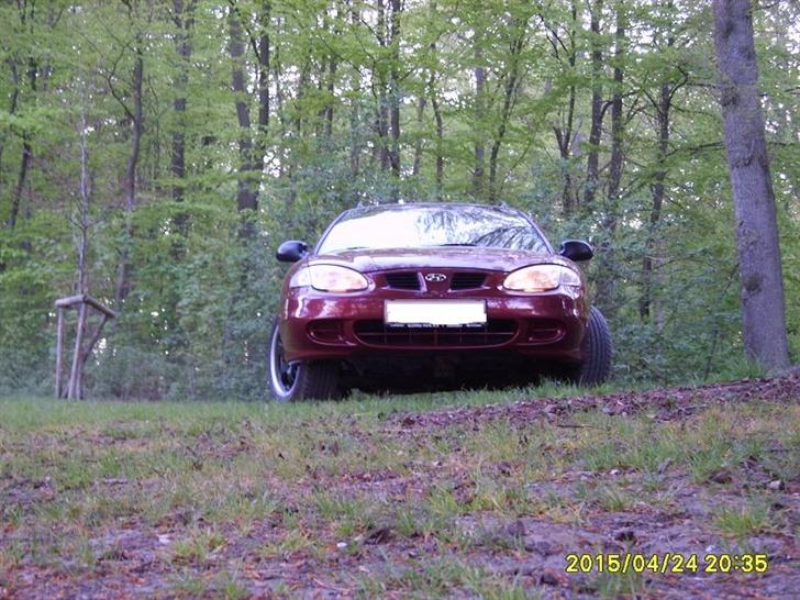 Hyundai Elantra Stc  - På en lille bakketop ude i den store skov billede 8