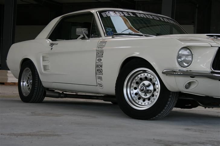 Ford Mustang "Rebel Mustang" - Billede fra 2009 billede 2