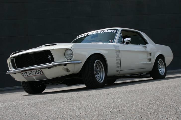 Ford Mustang "Rebel Mustang" - 2009 billede 3