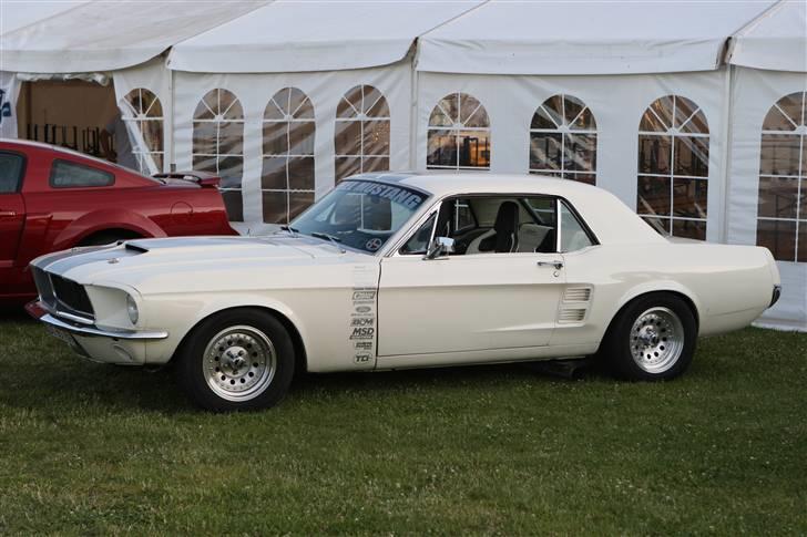 Ford Mustang "Rebel Mustang" - Cat´s cruise n´meet 2009 billede 4