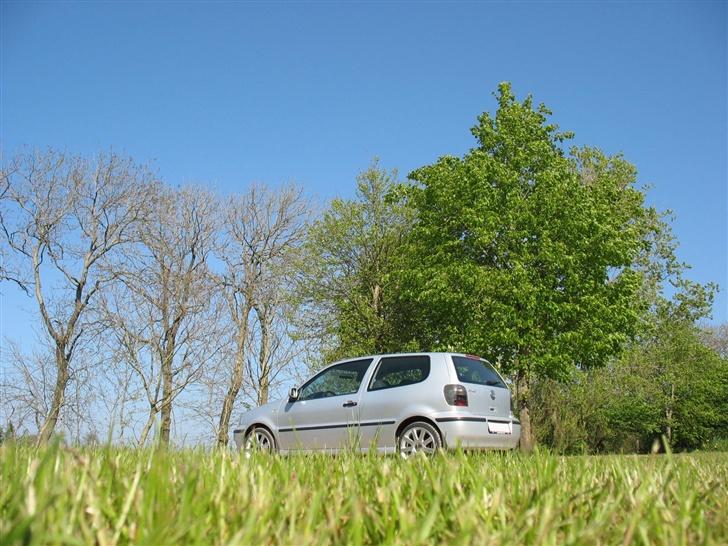 VW Polo 6N2 billede 6