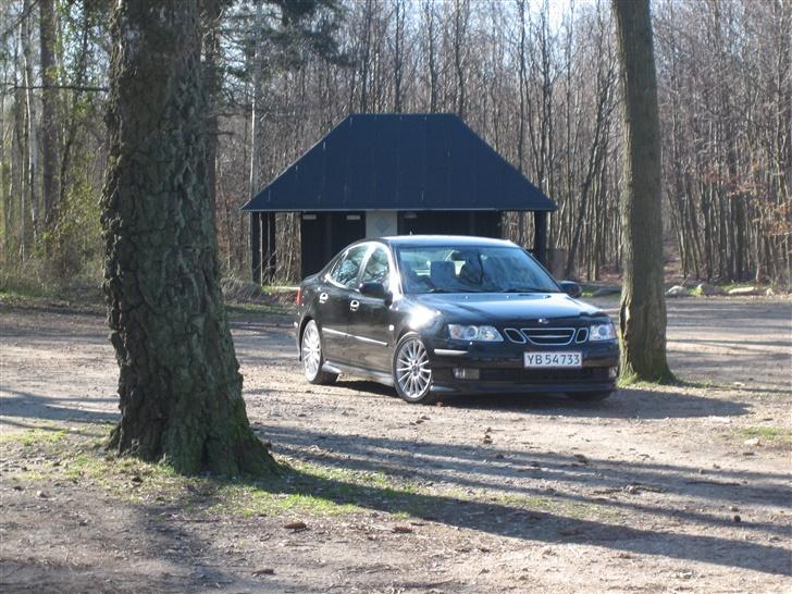 Saab 9-3 SPORTSEDAN billede 12