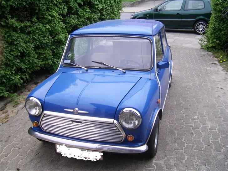 Austin-Morris mascot billede 4