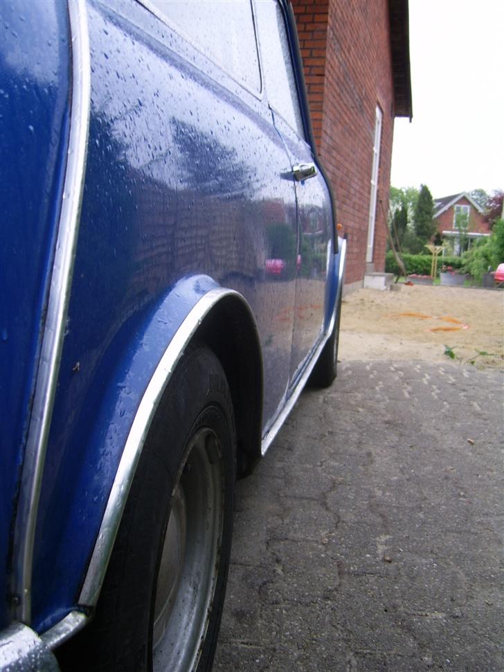 Austin-Morris mascot billede 10