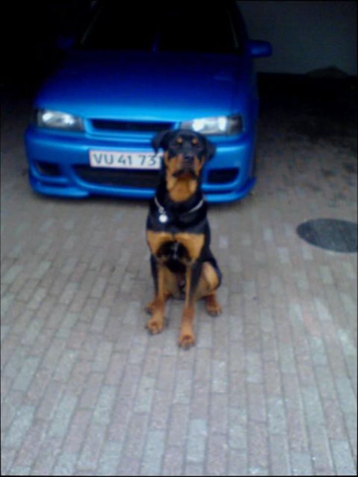 Opel Vectra 2000 billede 15