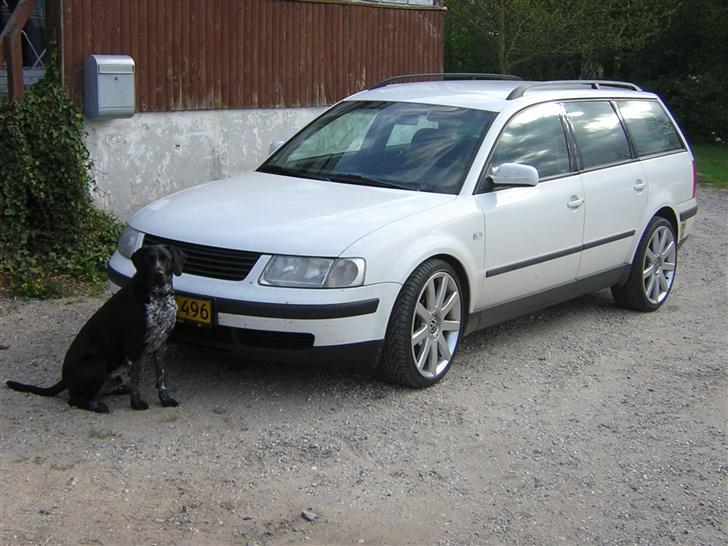 VW Passat 3B (Solgt) billede 1