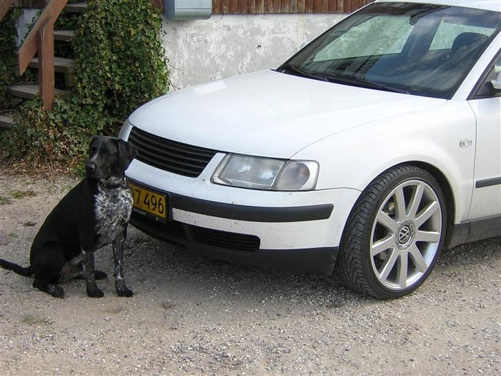 VW Passat 3B (Solgt) billede 2