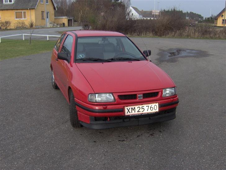 Seat Ibiza billede 2