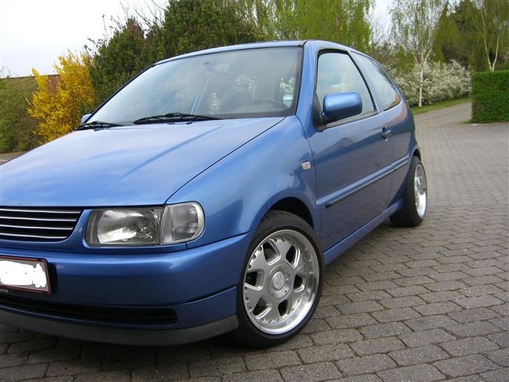 VW Polo 6n - sommer 2007 billede 6