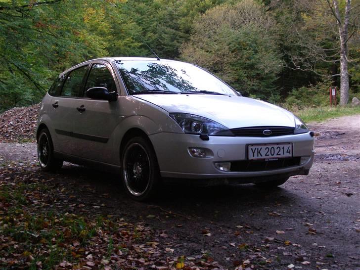 Ford Focus # DØD # billede 16