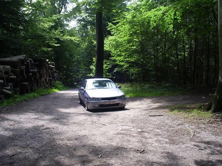 Peugeot 406 Sv Turbo  billede 18