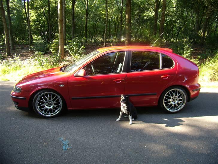Seat Leon/ Solgt - Min lille hund :) billede 14