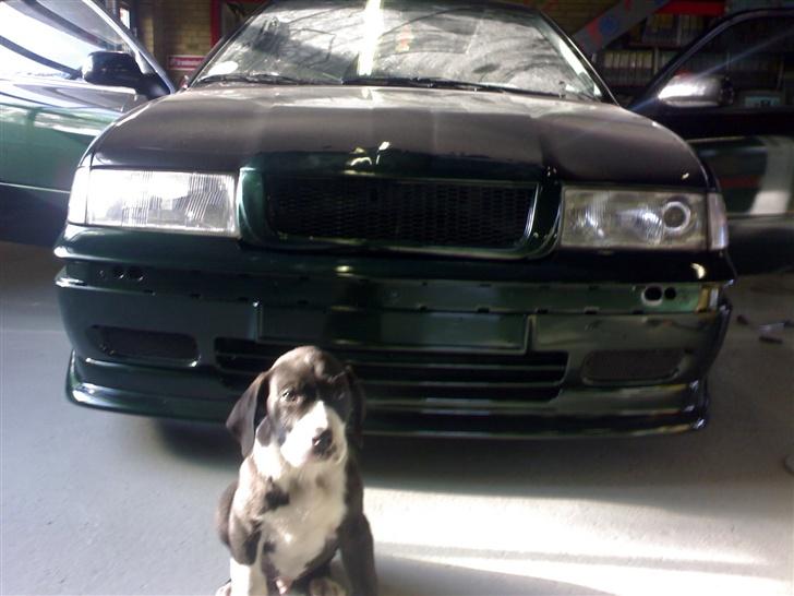 Skoda octavia tdi  **SOLGT**  billede 11