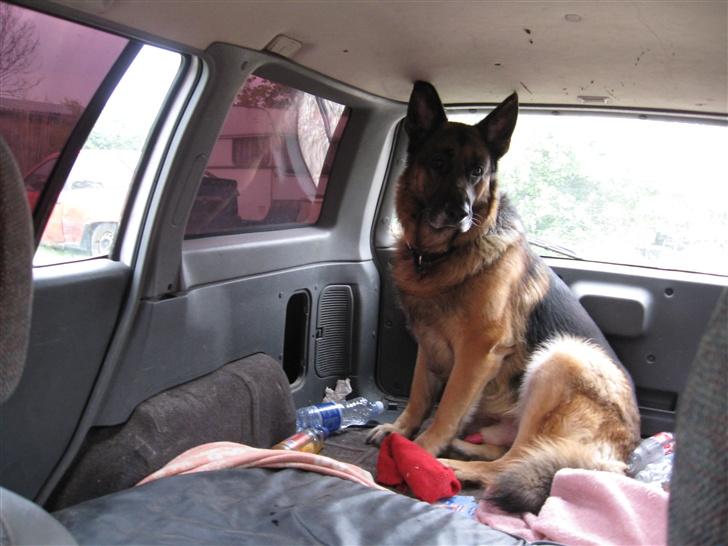 Opel astra 1,4 SOLGT billede 7