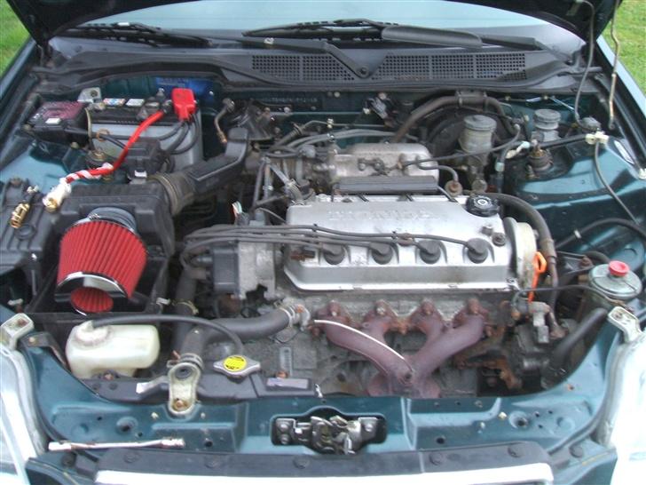 Honda Civic, SOLGT billede 2