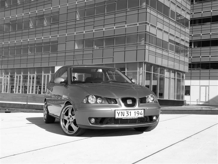 Seat ibiza fr 1,8 turbo 6L billede 1