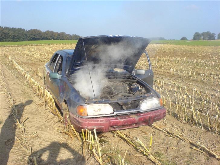 Ford Sierra 1,6 CLX [DØD] - Død.....Forever....... billede 12