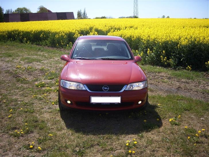 Opel Vectra B Comfort. -Solgt- billede 3