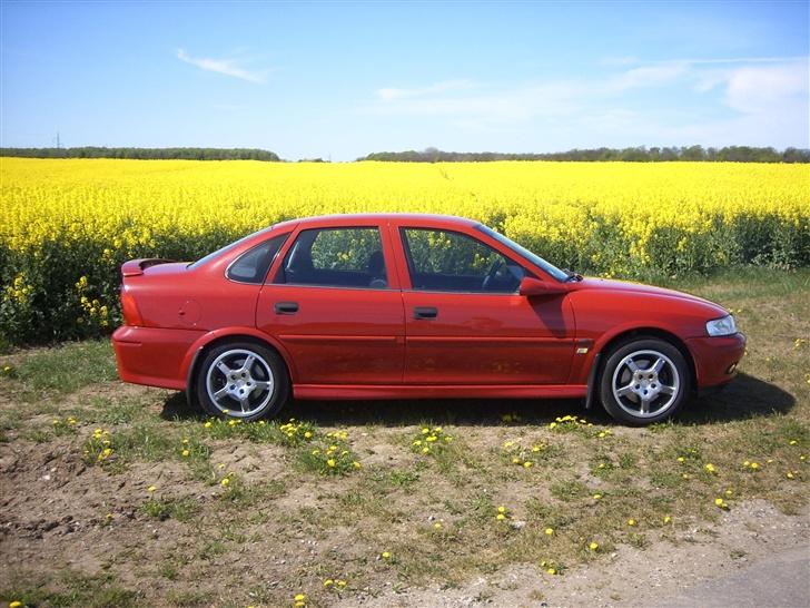 Opel Vectra B Comfort. -Solgt- billede 4