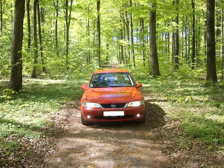 Opel Vectra B Comfort. -Solgt- billede 6