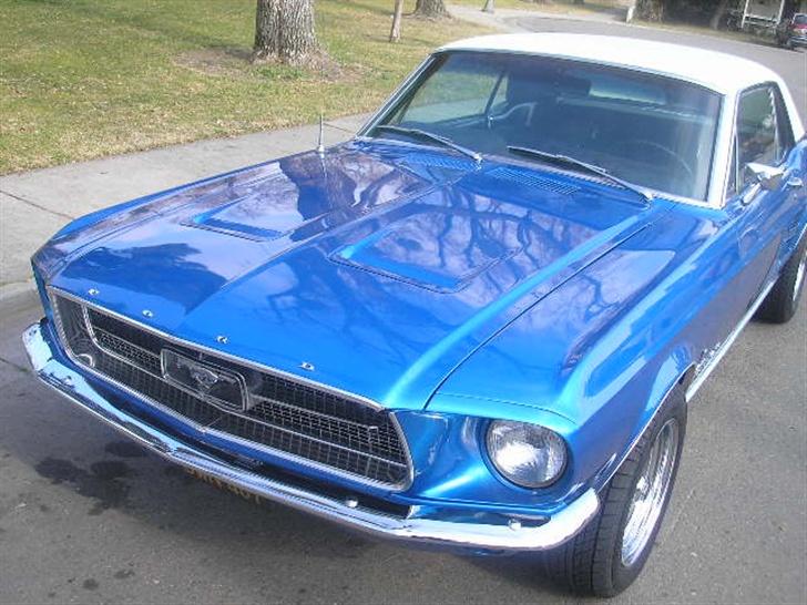 Amerikaner Ford Mustang Hardtop billede 12