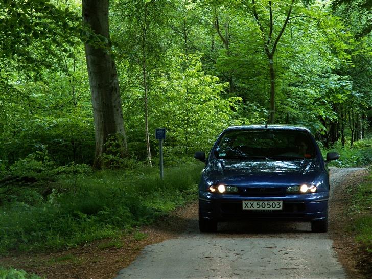 Fiat Bravo billede 4