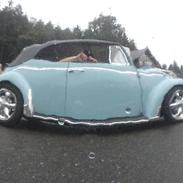 VW 151 Cabriolet