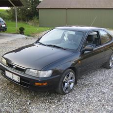 Toyota Corolla - Ginza nordic