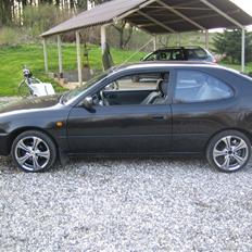 Toyota Corolla - Ginza nordic